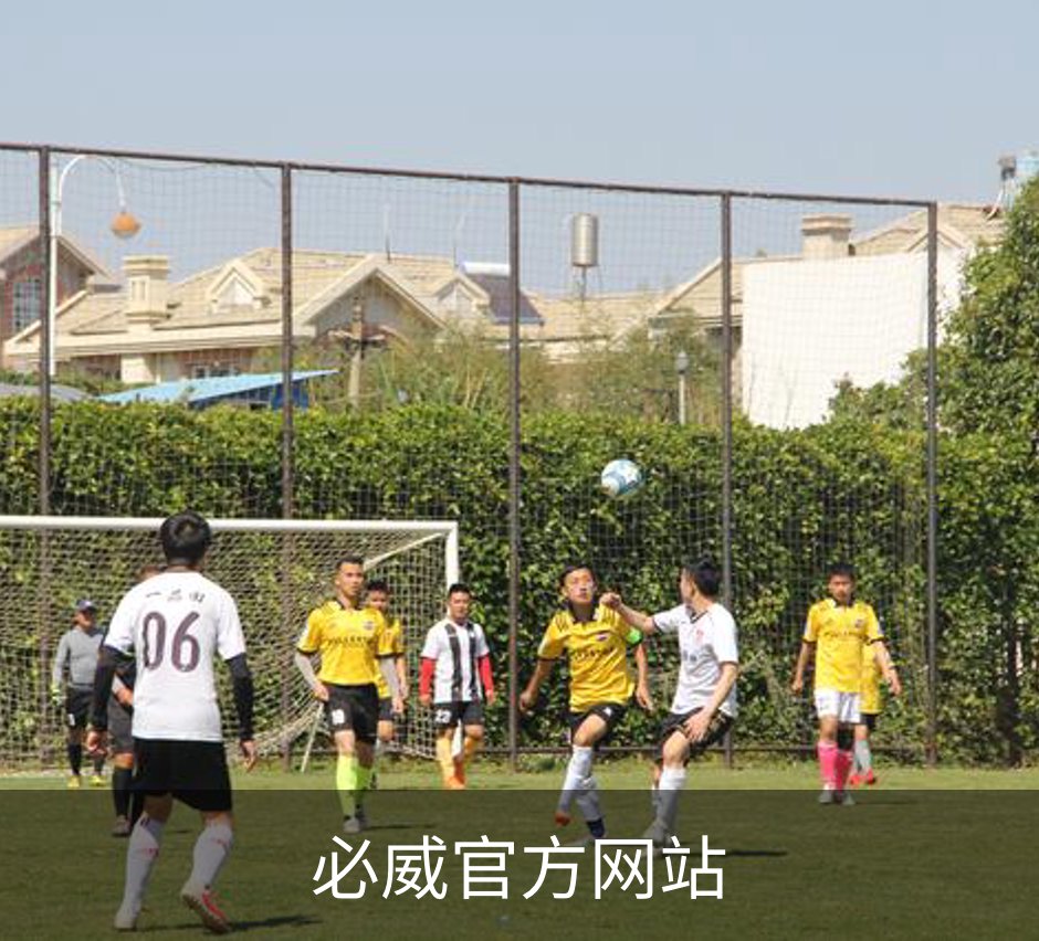 走进必威官方网站